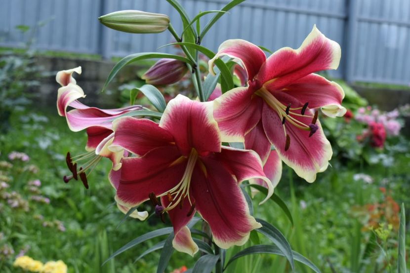  - 10000 de VIZITE pe SUNPHOTO