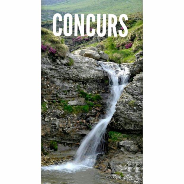  - Concurs