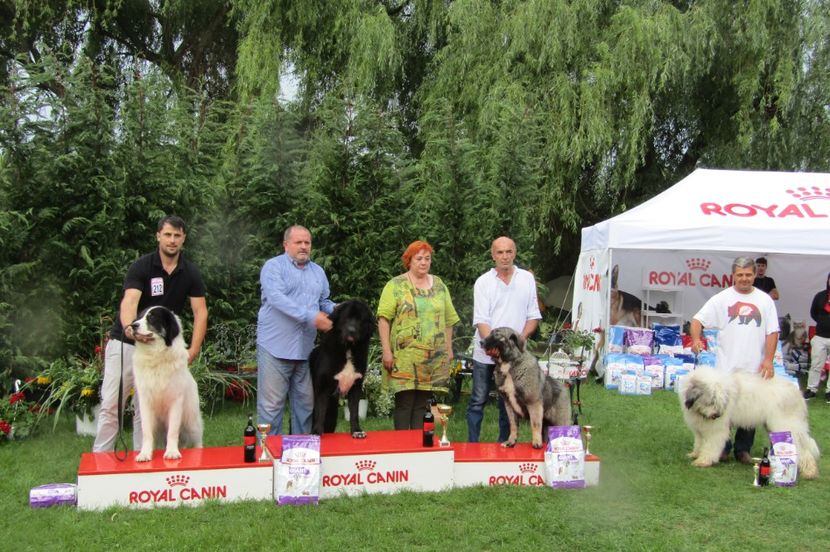 EXPO PLOIESTI 2018 - 2 CRĂIŢA DE PLAI PRAHOVEAN - CAMPION ROMANIA