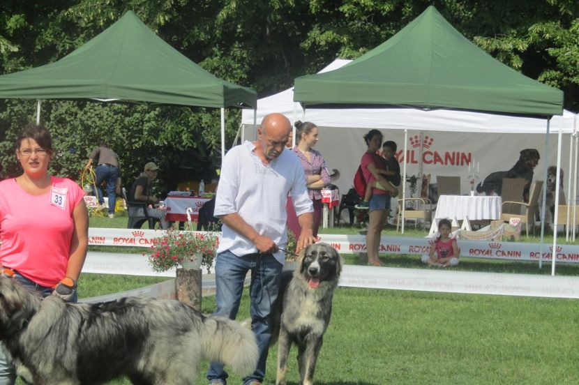 EXPO PLOIESTI 2018 - 1 MĂCIN DE CROITORU