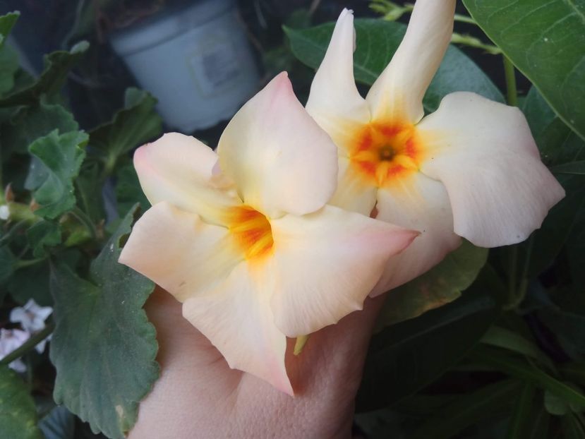 received_10211870126813047 - 2018