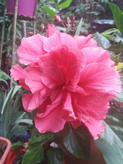  - 2018 vechi sau noi tot le iubesc