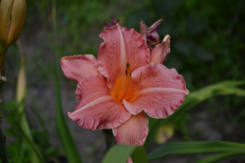 Pretty Fancy - o altfel de vara