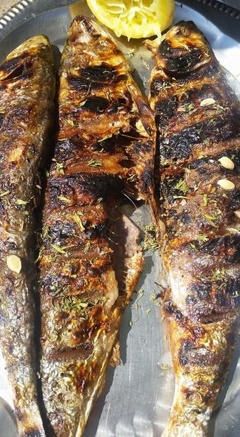 Dorin Petrescu - Dunarea Galati Istorie