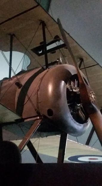 Dorin Petrescu - Dunarea Galati Istorie