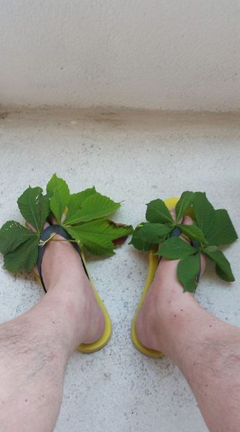 Dorin Petrescu - Dunarea Galati Istorie