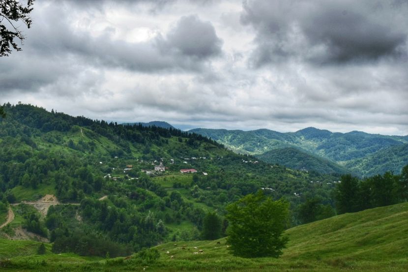  - A c a s a   e locul unde ti-e inima