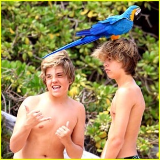 dylan-cole-sprouse-parrot - Cole Sprouse