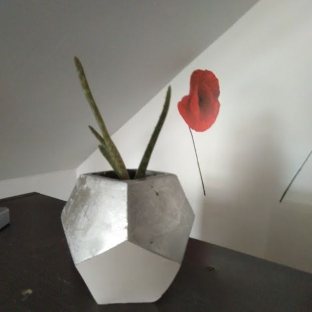  - 2018 -ghivece pentru suculente din ciment alb