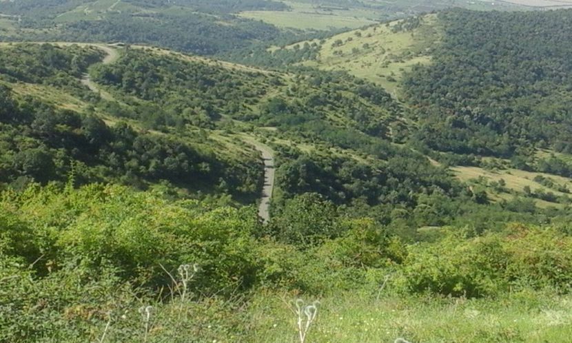 IMG-20180711-WA0027 - Cetatea Șiria jud Arad