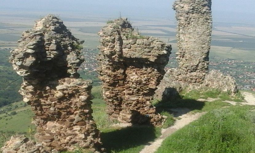 IMG-20180711-WA0020 - Cetatea Șiria jud Arad