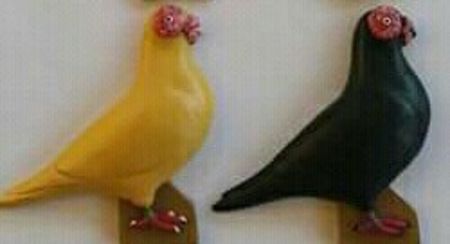  - B E R B E R I  ---    BARBS  PIGEONS