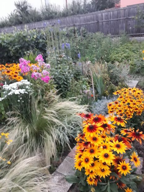  - Flori de grădină-2018 Vara