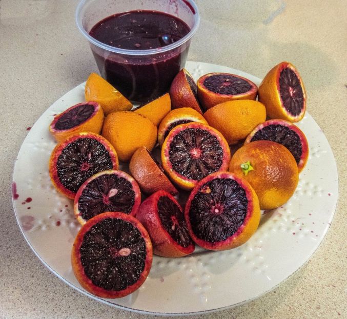 Citrus sinensis moro nucelare 58-8d-1 - Plantele mele 2018