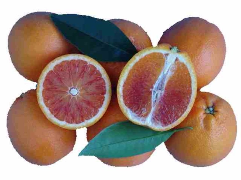 Citrus sinensis tarocco-meli - Plantele mele 2018