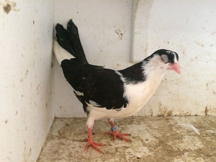 110 - 1-Lot zbor 2018