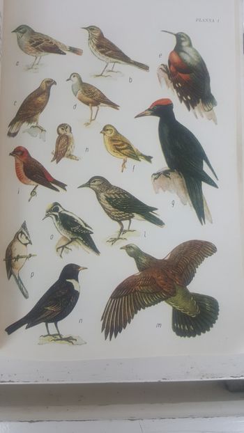  - LITERATURA de SPECIALITATE