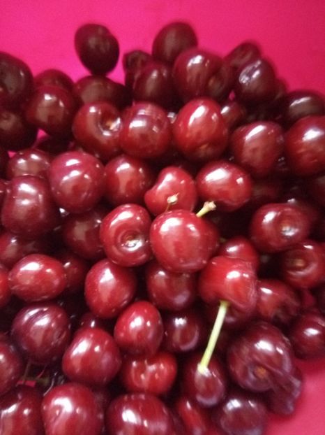 Cires - Flori de PRIMAVARA-VARA -2018