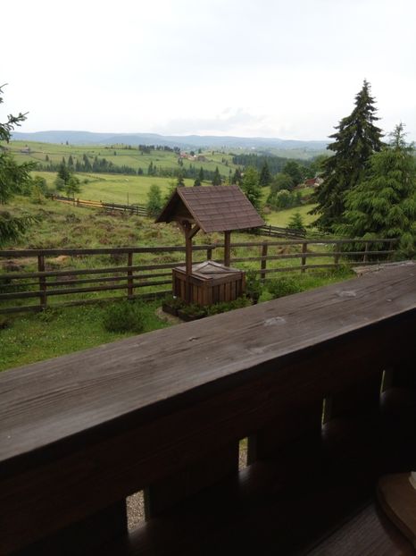  - Flori de PRIMAVARA-VARA -2018