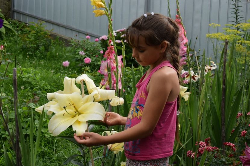  - Crini asiatici si orientali 2018
