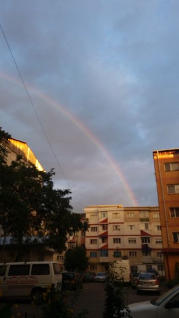  - pe camp si in padure