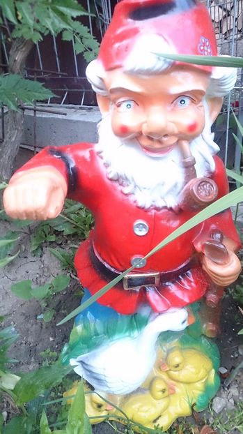  - 0 FLORI 2018 in gradina