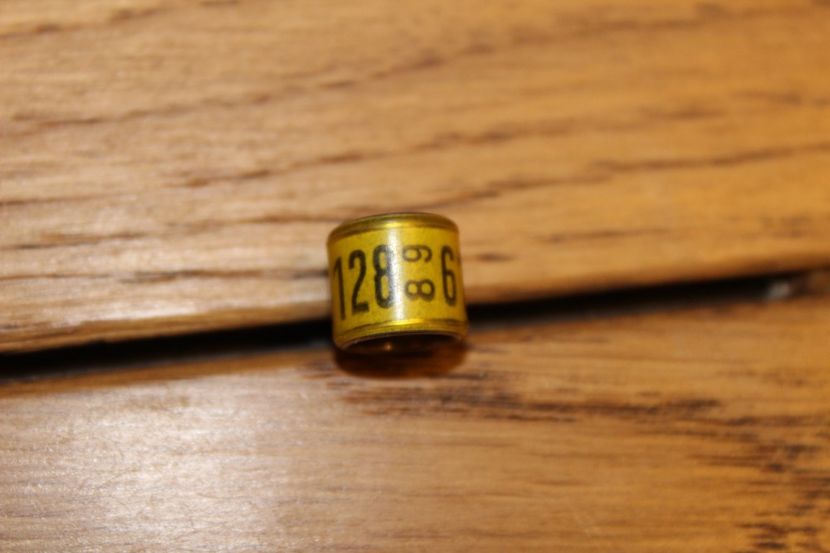 DV 89 - INELE PENTRU SCHIMB csere gyuru