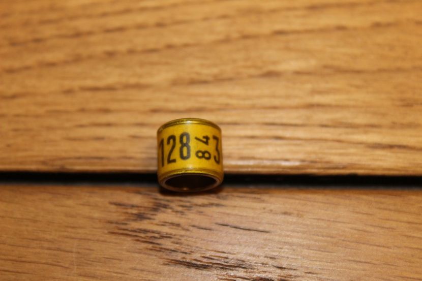 DV 84 - INELE PENTRU SCHIMB csere gyuru