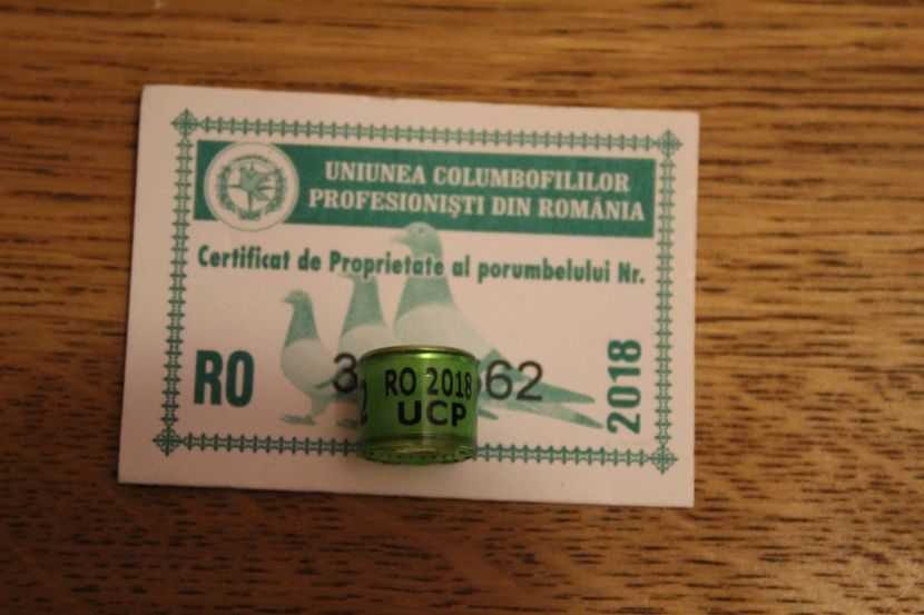 RO 2018 UCP - INELE PENTRU SCHIMB csere gyuru