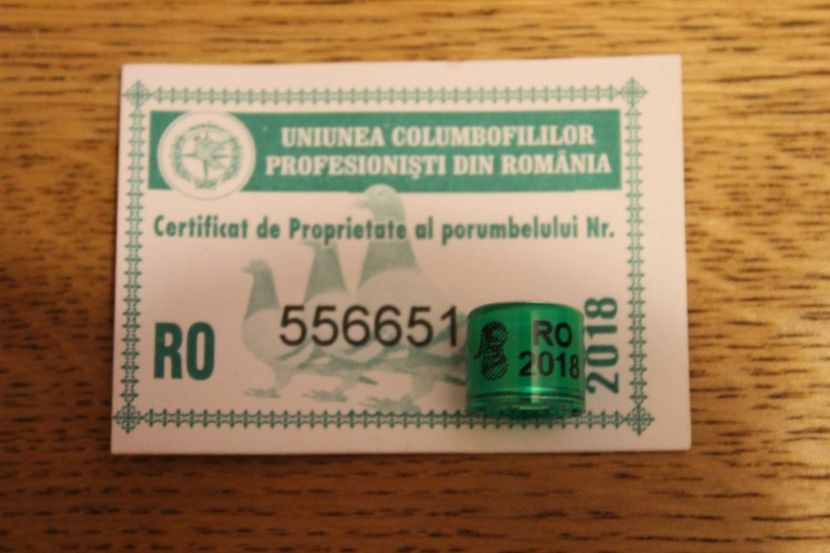  - INELE PENTRU SCHIMB csere gyuru