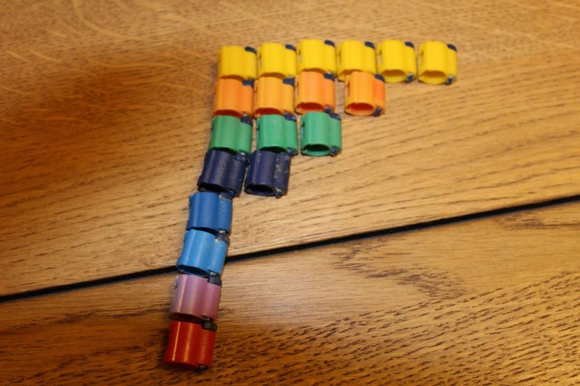  - CIPURI   BROCOANE  CLEME