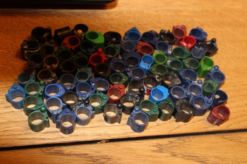  - CIPURI   BROCOANE  CLEME