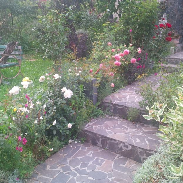  - gradina iulie 2018