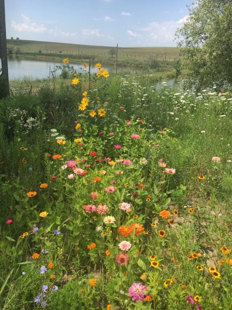 1D9F5E11-CA2C-46CA-9A39-CDA29D1ED45A - Carciumarese 2018