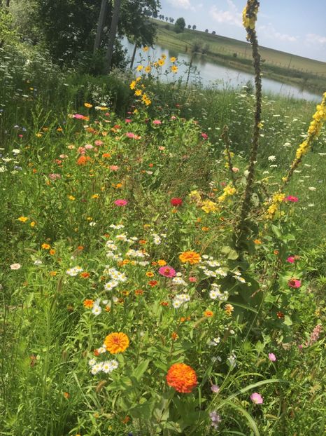 21015D02-3F74-4128-8AE8-AA90B030BE8D - Carciumarese 2018