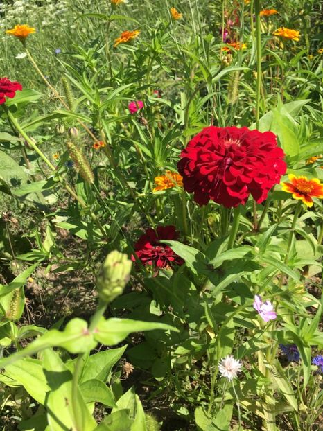 FD0184FE-434C-41D7-9D7F-FC61CA89FB56 - Carciumarese 2018