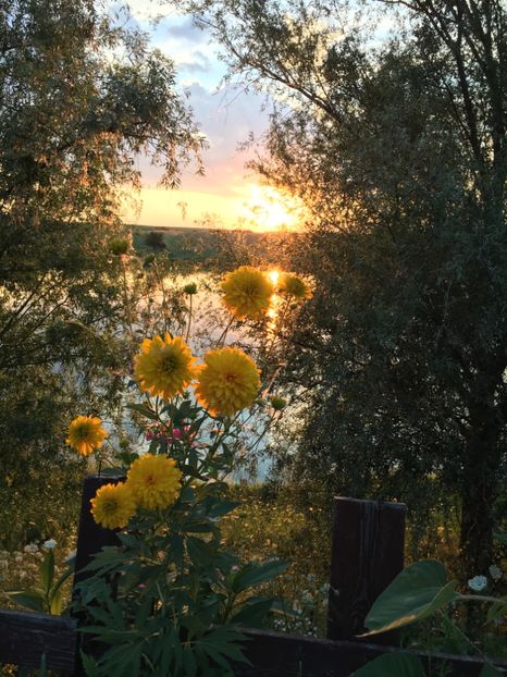 15.07.2018 - Apus  de soare