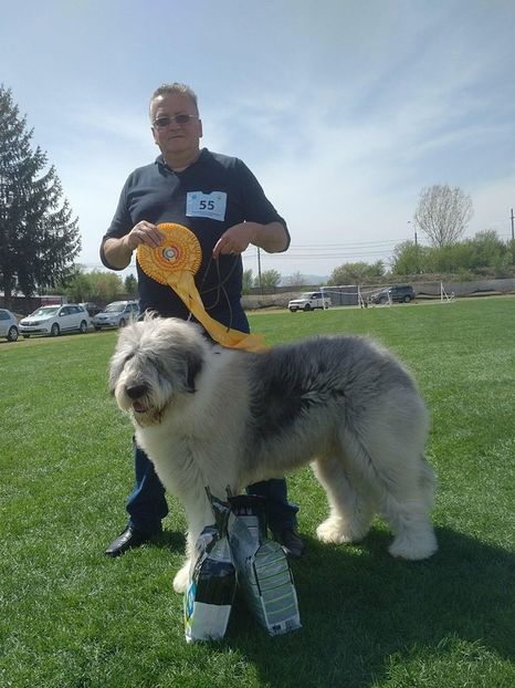  - Canisa de Manastireni