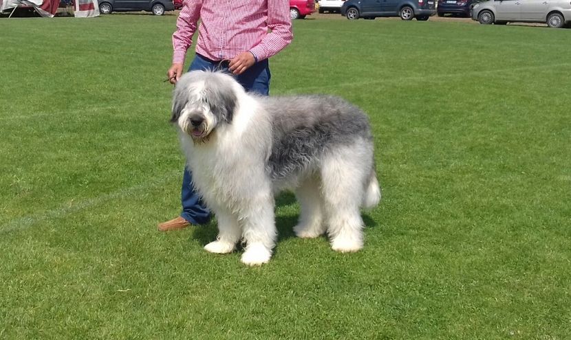 20180526_111747-1 - Canisa de Manastireni