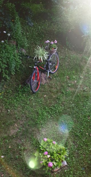 Primul pas e făcut....urmează vopsirea  - 000_2018