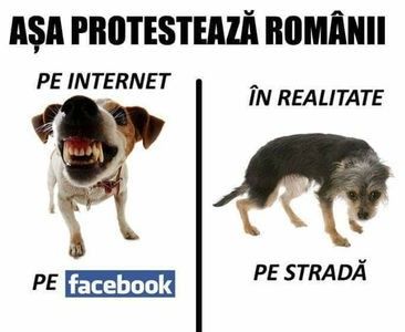  - 1 DE ACTUALITATE