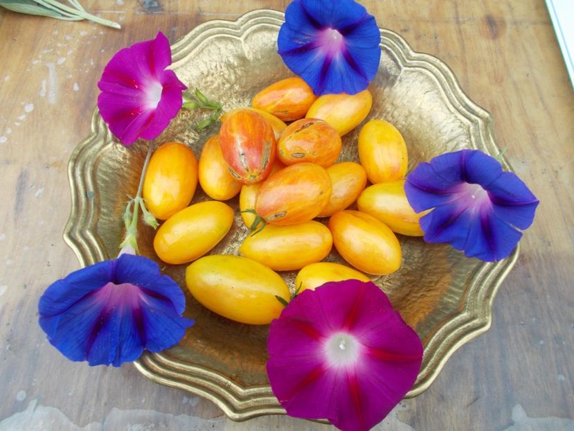  - SEMINTE ROSII - BLUSH