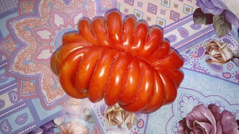  - -Canal YouTube-Flori