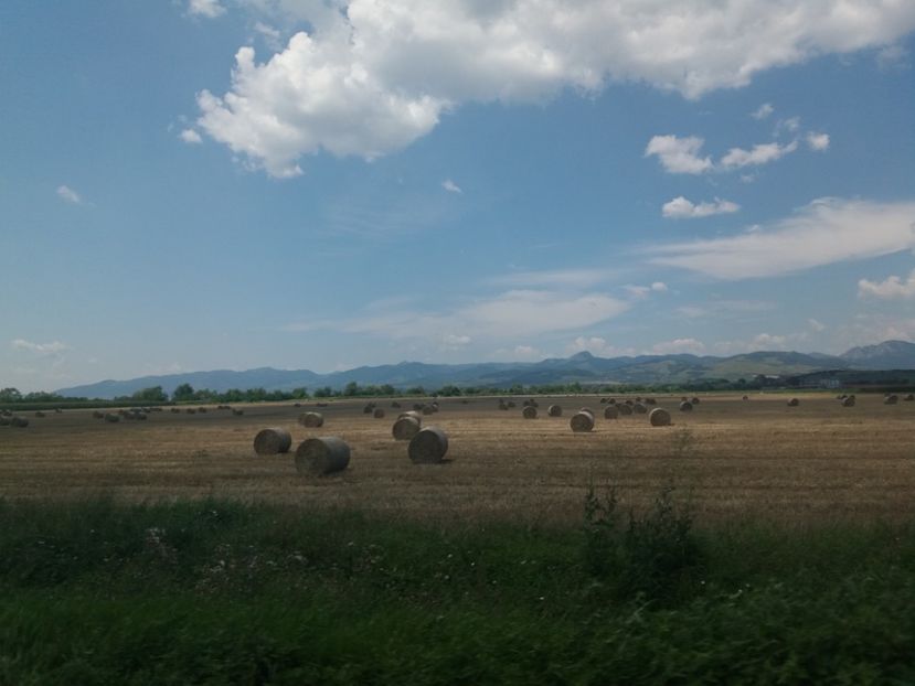 - Spre Cluj