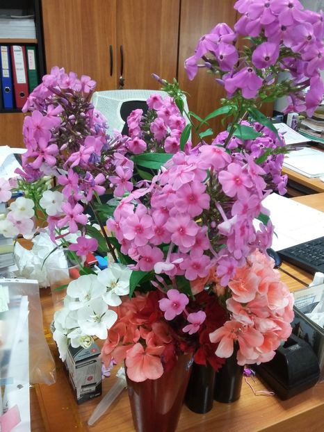  - Flori in vaza