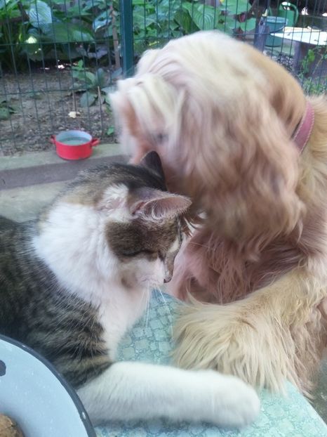  - Lucky-frumusetea noastra