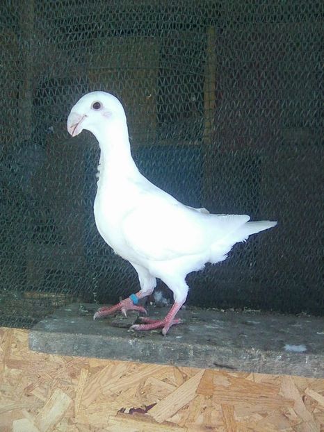 Photo0737 - pui 2018