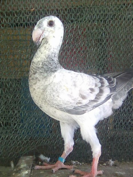 Photo0746 - pui 2018