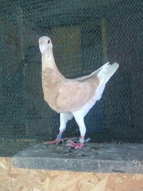 Photo0769 - pui 2018