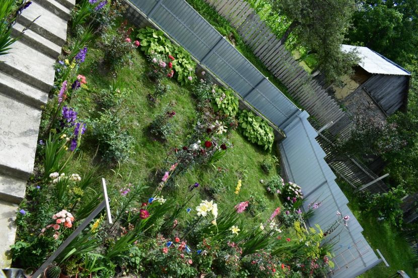  - 000000000000001   GRADINA MEA